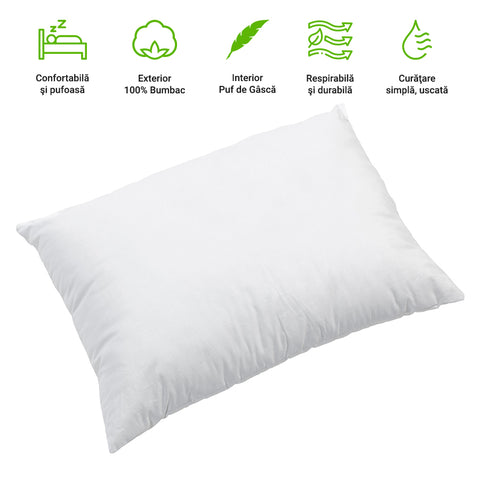 Perna Ferma, 30% Puf de Gasca